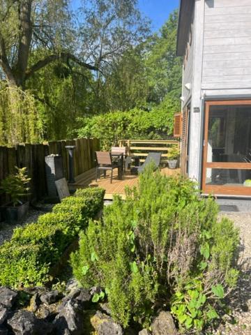 Gite Et Chambre D'Hote Gussignies Bagian luar foto